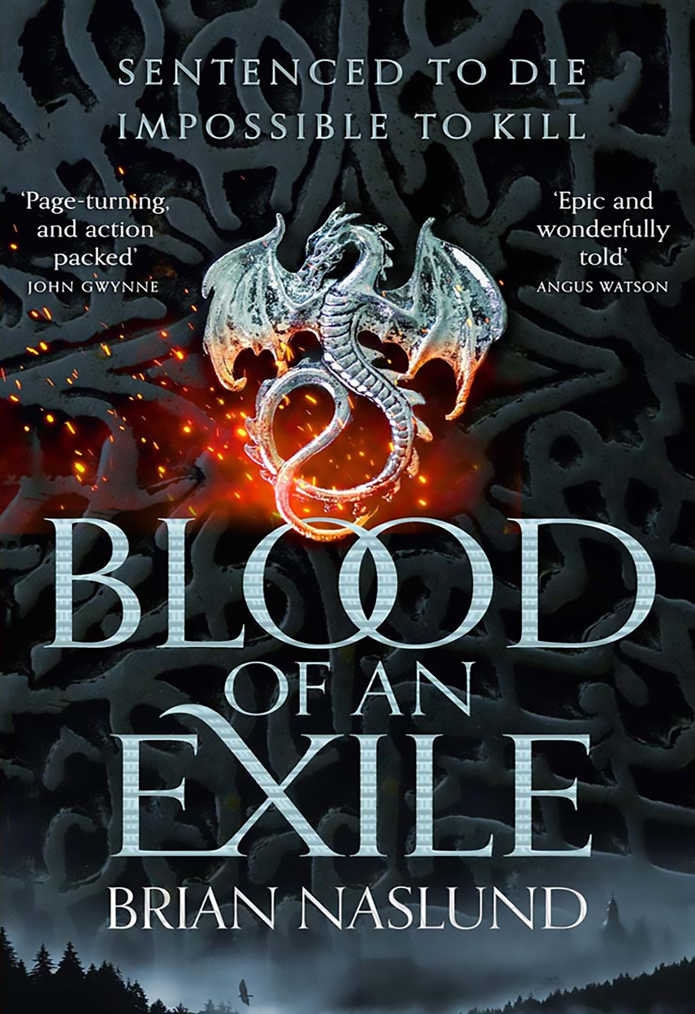 Blood Of An Exile (Dragons Of Terra Book 1)